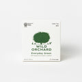 Everyday Green Tea