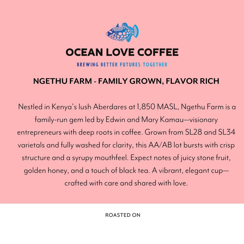 Ngethu Farm - Single Origin Whole Bean Coffee - Here Here Market