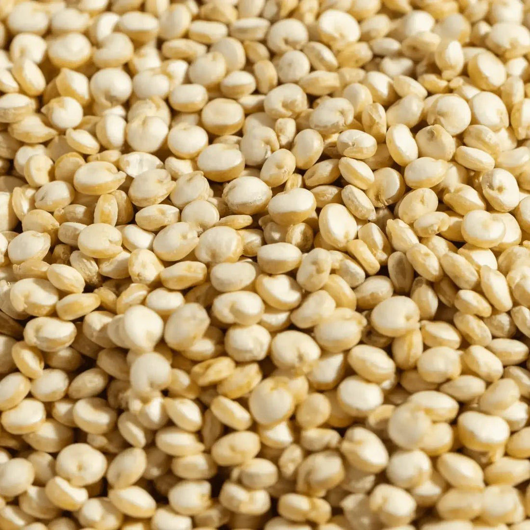 Regenerative Organic Certified White Quinoa – Here Here Market