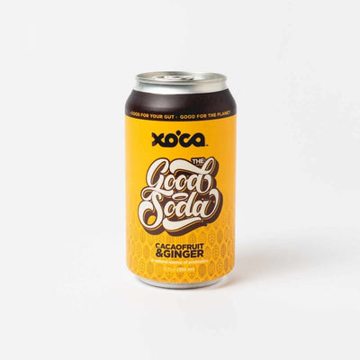Xoca Prebiotic Soda - Cacaofruit & Ginger - Here Here Market
